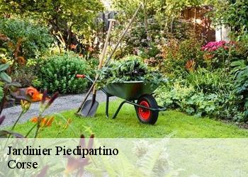 Jardinier piedipartino-20229 Corse