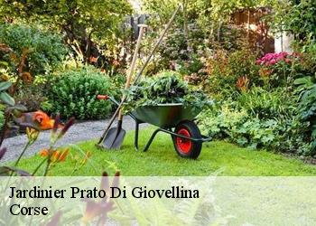 Jardinier prato-di-giovellina-20218 Corse