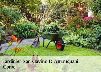 Jardinier  san-gavino-d-ampugnani-20264 Corse