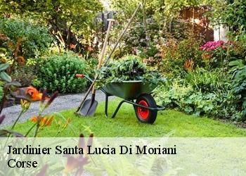 Jardinier  santa-lucia-di-moriani-20230 Corse