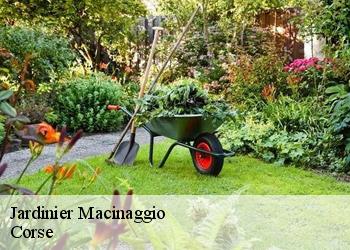 Jardinier  macinaggio-20248 Corse