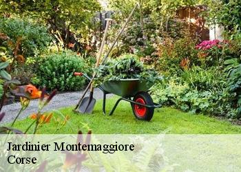 Jardinier  montemaggiore-20214 Corse