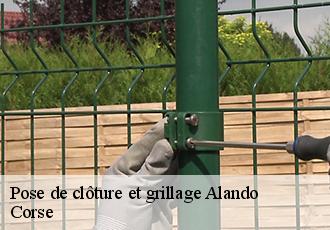 Pose de clôture et grillage alando-20212 Corse