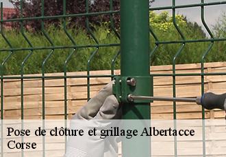 Pose de clôture et grillage albertacce-20224 Corse