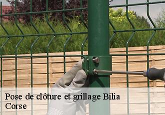 Pose de clôture et grillage bilia-20100 Corse