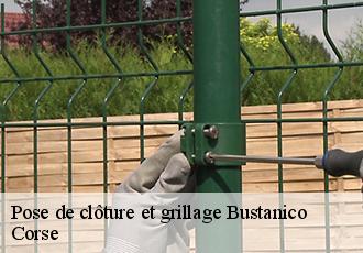 Pose de clôture et grillage bustanico-20212 Corse