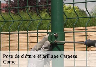 Pose de clôture et grillage cargese-20130 Corse