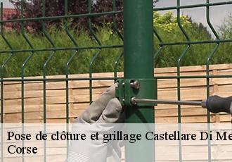 Pose de clôture et grillage castellare-di-mercurio-20212 Corse