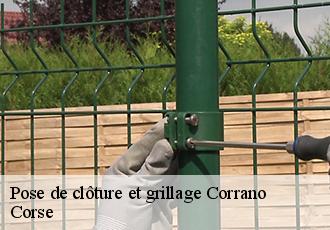 Pose de clôture et grillage corrano-20168 Corse