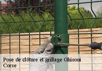 Pose de clôture et grillage  ghisoni-20227 Corse