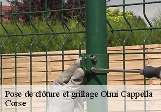 Pose de clôture et grillage olmi-cappella-20259 Corse
