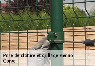 Pose de clôture et grillage renno-20160 Corse