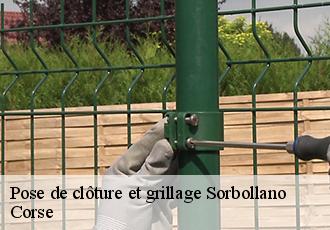 Pose de clôture et grillage sorbollano-20152 Corse
