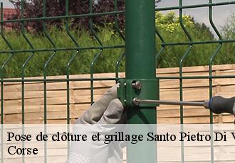 Pose de clôture et grillage santo-pietro-di-venaco-20250 Corse