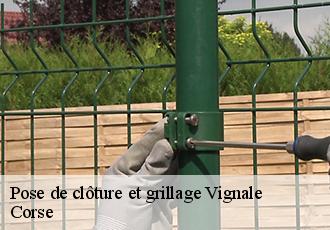 Pose de clôture et grillage vignale-20290 Corse
