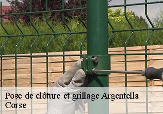 Pose de clôture et grillage argentella-20260 Corse