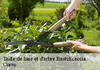 Taille de haie et d'arbre bastelicaccia-20129 Corse
