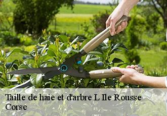 Taille de haie et d'arbre l-ile-rousse-20220 Corse