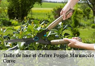 Taille de haie et d'arbre poggio-marinaccio-20237 Corse