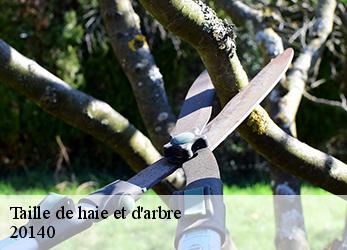 Taille de haie et d'arbre 20140