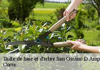 Taille de haie et d'arbre san-gavino-d-ampugnani-20264 Corse