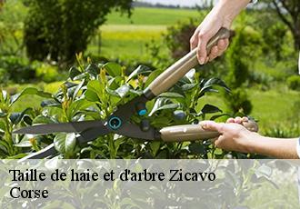 Taille de haie et d'arbre zicavo-20132 Corse