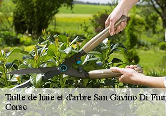 Taille de haie et d'arbre san-gavino-di-fiumorbo-20243 Corse