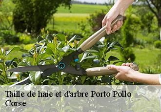 Taille de haie et d'arbre porto-pollo-20140 Corse