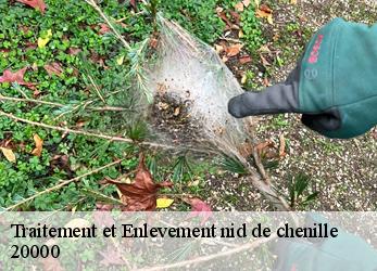 Traitement et Enlevement nid de chenille  20000