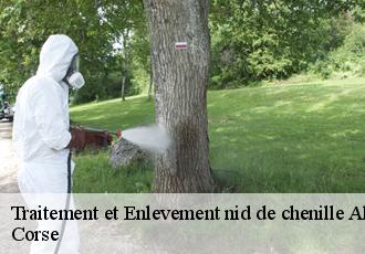 Traitement et Enlevement nid de chenille  aleria-20270 Corse