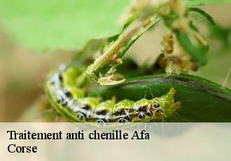Traitement anti chenille afa-20167 Corse