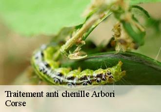 Traitement anti chenille arbori-20160 Corse