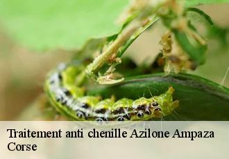 Traitement anti chenille azilone-ampaza-20190 Corse