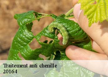 Traitement anti chenille  20164