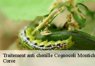 Traitement anti chenille  cognocoli-montichi-20123 Corse