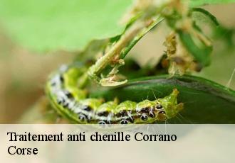 Traitement anti chenille  corrano-20168 Corse