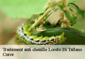 Traitement anti chenille loreto-di-tallano-20165 Corse