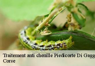 Traitement anti chenille  piedicorte-di-gaggio-20251 Corse