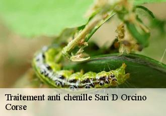 Traitement anti chenille sari-d-orcino-20151 Corse