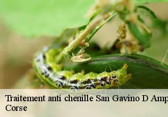 Traitement anti chenille san-gavino-d-ampugnani-20264 Corse