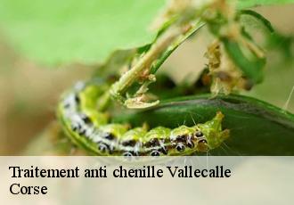Traitement anti chenille vallecalle-20273 Corse