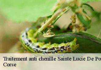 Traitement anti chenille sainte-lucie-de-porto-vecchi-20144 Corse