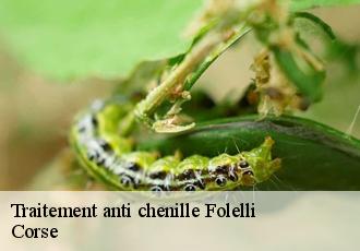 Traitement anti chenille  folelli-20213 Corse