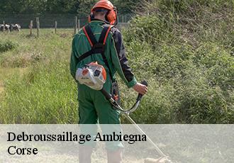 Debroussaillage ambiegna-20151 Corse