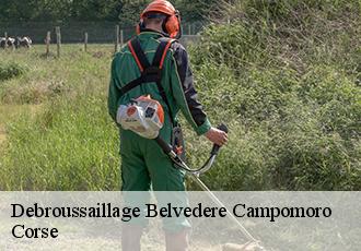 Debroussaillage belvedere-campomoro-20110 Corse