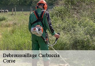 Debroussaillage  carbuccia-20133 Corse
