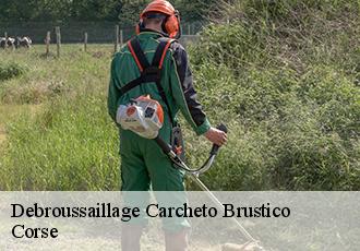 Debroussaillage carcheto-brustico-20229 Corse