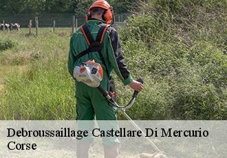 Debroussaillage castellare-di-mercurio-20212 Corse