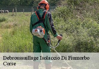 Debroussaillage isolaccio-di-fiumorbo-20243 Corse
