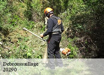 Debroussaillage 20290
